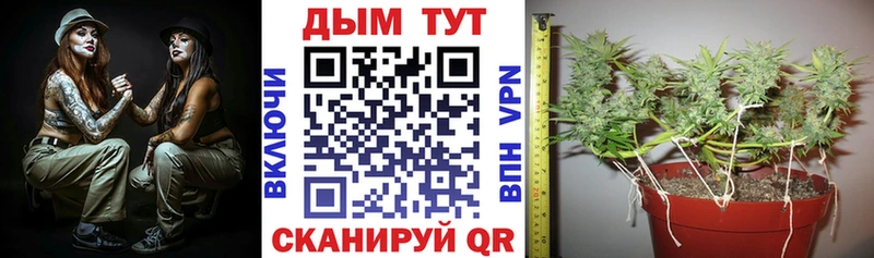 Экстази Лесозаводск