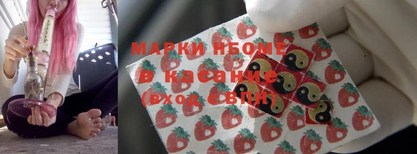 ГАЛЛЮЦИНОГЕННЫЕ ГРИБЫ Липки