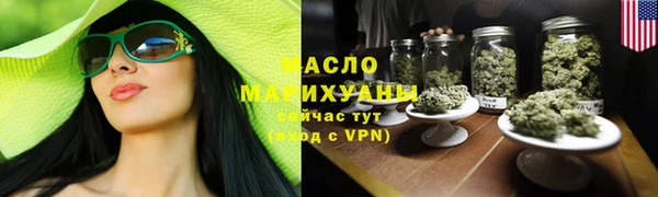 индика Нея