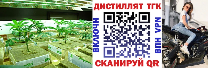 площадка Telegram  купить наркотики цена  ссылка на мегу маркетплейс  Лесозаводск  ТГК вейп 