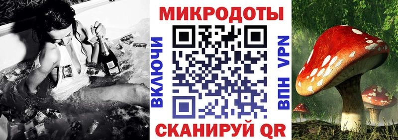 Псилоцибиновые грибы мухоморы Лесозаводск