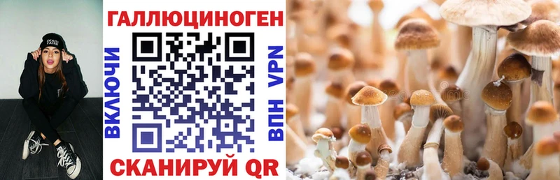 Псилоцибиновые грибы мухоморы  купить наркотики сайты  Лесозаводск 